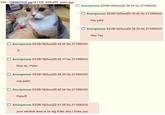 Peter the Cat (The King of /b/)
