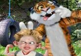 Untoons