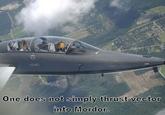 Thrust Vectoring Owns the Sky