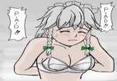 Sakuya's breast padding