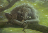 El Chupacabra / Chupacabras