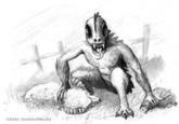 El Chupacabra / Chupacabras