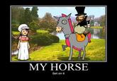 Amazing Horse
