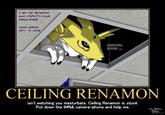 Ceiling Cat