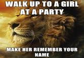 Power Lion