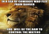Power Lion