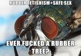 fetish fly