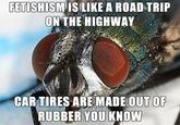 fetish fly