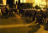 Riot Dog