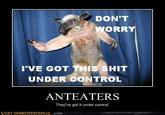 I'm an Anteater!!!