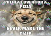 Stoner Dog