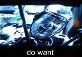 Do Want / Do Not Want
