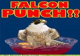 Falcon Punch