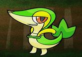 Smugleaf / Snivy