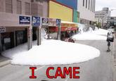 I Came