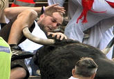 Bull Piercing