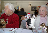 Boozecats