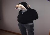 Human Dog