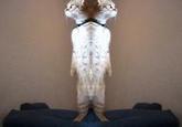 Standing Cat