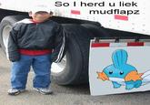I Herd U Like Mudkips