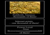 Suddenly, Bananas! Thousands Of Them!