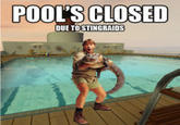 Steve Irwin/Stingrays
