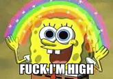 I'M SO FUCKING STONED