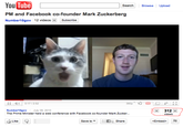 OMG Cat