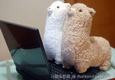 Baidu 10 Mythical Creatures (Grass Mud Horse)