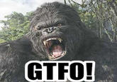 GTFO