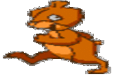 Hampster Dance