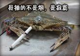 Loneliness Party (寂寞党)