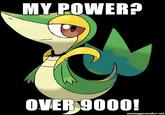 Smugleaf / Snivy