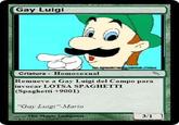 Gay Luigi?