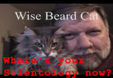 Mark Bunker/Wise Beard Man