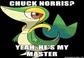 Smugleaf / Snivy