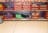 Lying Down Game