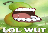 LOLWUT