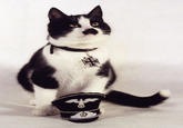 Kitler