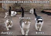 Kitler