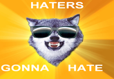 Haters Gonna Hate