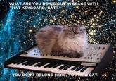 Cat on a Keyboard in Space