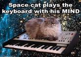 Cat on a Keyboard in Space