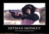 Hitman Monkey