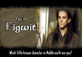 Figwit