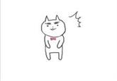 Eyebrow Cat