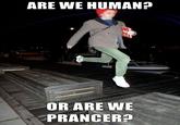 Prancing Cera