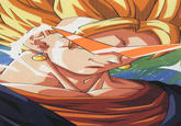 Kamina glasses