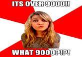 Meme Expert