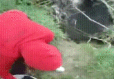 Girl Throws Puppies into a River ( NSFW)